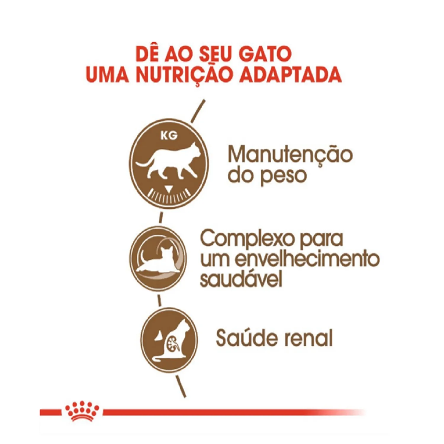 Ração Royal Canin para Gatos Adultos Castrados Acima de 12 anos